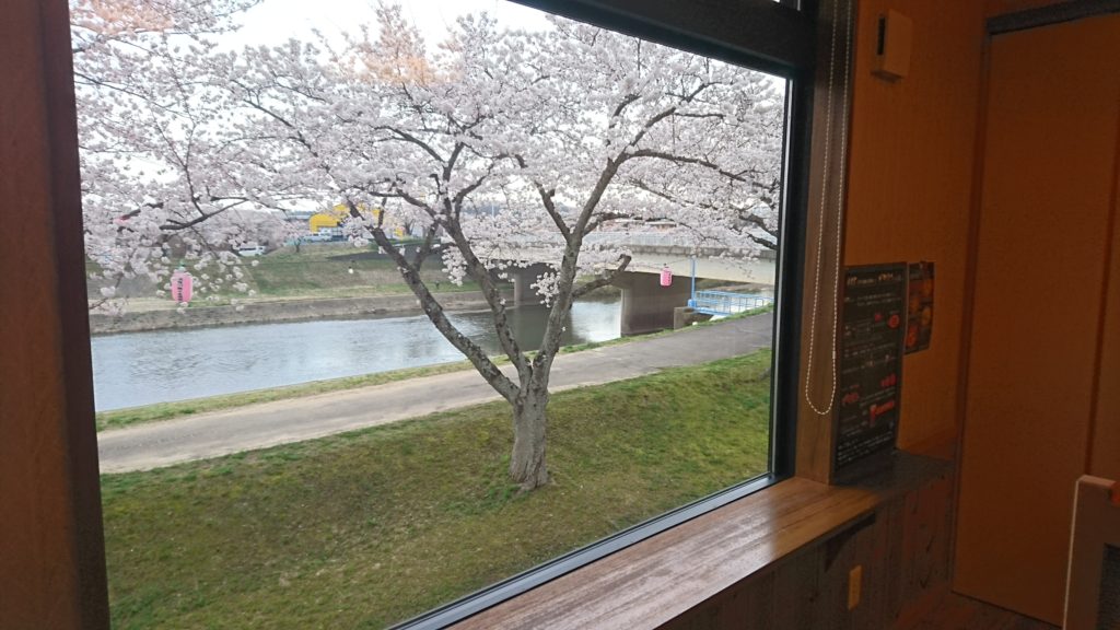 暖気亭の桜2020DSC_0046