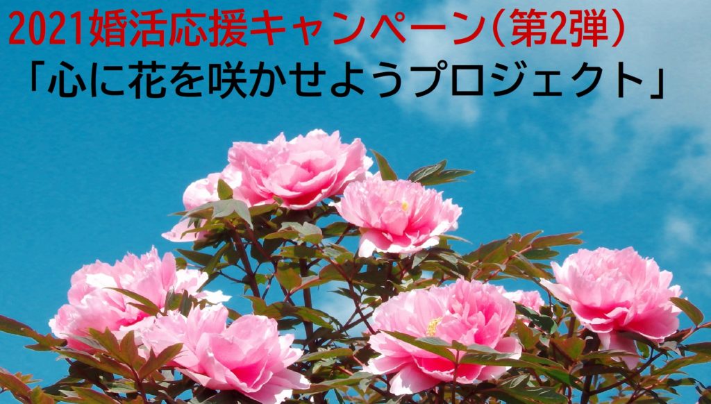 心に花を咲かせようボータン２