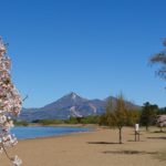 磐梯山と桜と猪苗代湖と青空