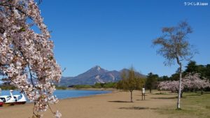 磐梯山と桜と猪苗代湖と青空